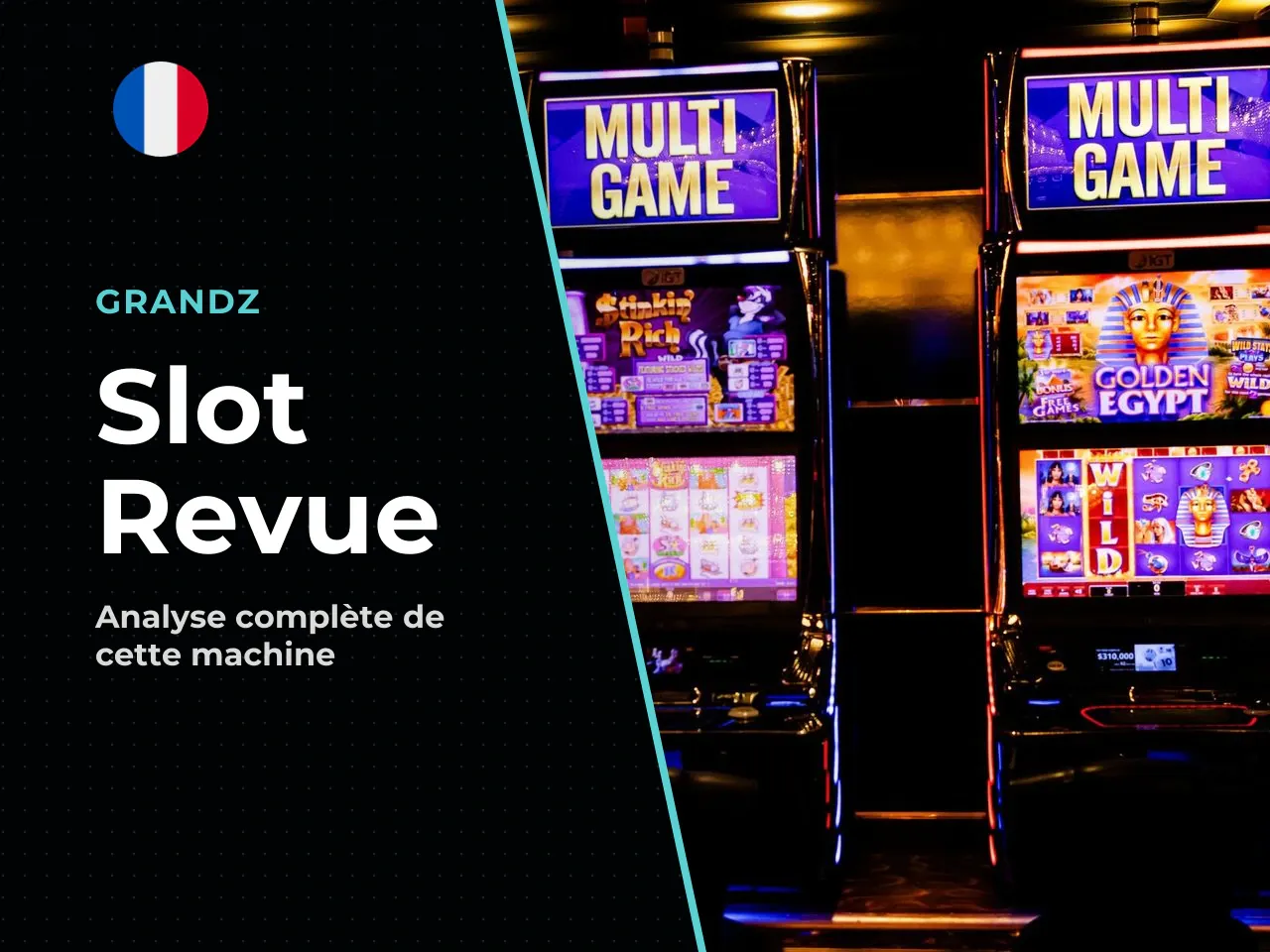 Le segment en ligne agréé croît