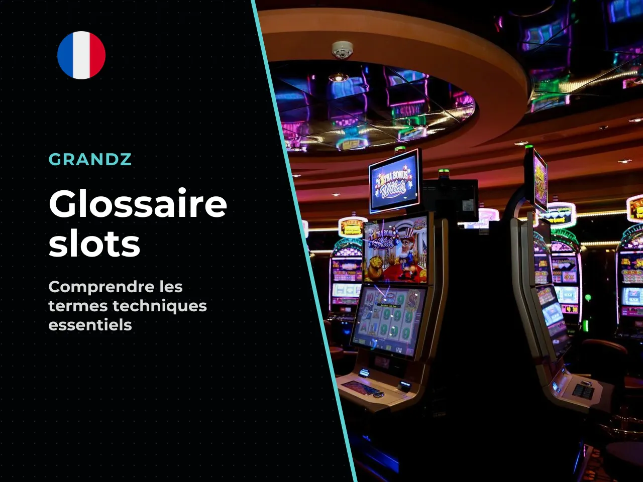 Petit glossaire pour lire une fiche