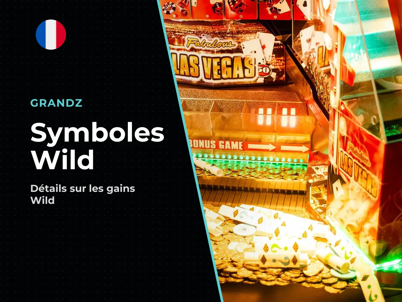 3.4. Wild, lignes et affichage